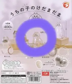 うちの子のけだまだま 茶トラ