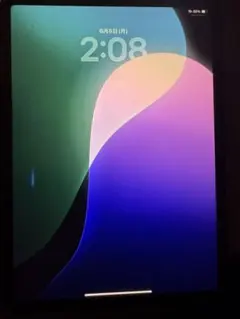 バッテリー 100% iPad Mini A17Pro 128GB セルラー - メルカリ