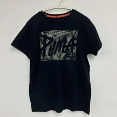 美品　プーマ　Tシャツ　160