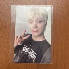 SEVENTEEN ALWAYS YOURS トレカ　ディノ