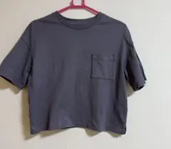 Item thumbnail for item 00047a6f-23e0-40d3-93b9-cc353250da4b