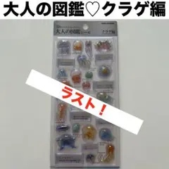 ちぃ☆chiiiishop☆。.:＊・゜様 リクエスト 2点 まとめ商品