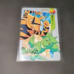 カードダス ポケモン 19 エレブー＆ストライク