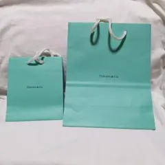 2026年最新】紙袋 ティファニーの人気アイテム - メルカリ
