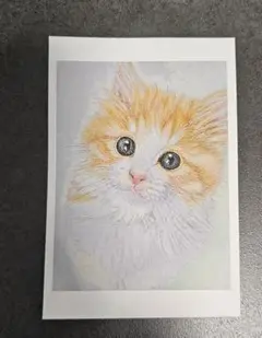 可愛い子猫ちゃんのポストカード