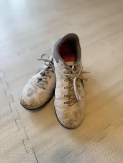 Item thumbnail for item 6a307240-1b87-4402-964e-77c3ea0111aa