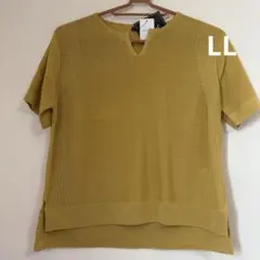 大きいサイズ イエロー Vネック 半袖ニット