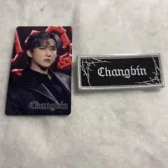 スキズ dominATE 東京ドーム チャンビン アプグレ 特典トレカ ワッペン