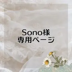 Sono様 リクエスト 2点 まとめ商品