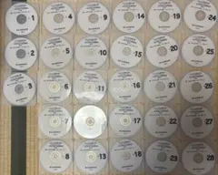 2025年リアリスティック民法　DVDのみです 最新 司法書士 松本リアリスティック 民法 基礎講座 DVD 2025