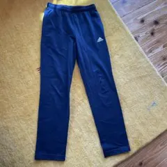 Item thumbnail for item 4882a3d2-da0c-456b-9830-8ca10448a6cf