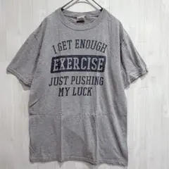 フルーツオブザルーム Tシャツ クルーネック 半袖 ロゴ 灰色 綿 カジュアル