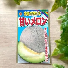 2026年最新】売り切りたいのでお値下げ希望の場合はコメントして
