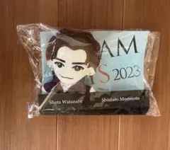 渡辺翔太　ドリボ　ちびぬい