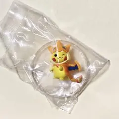 ポケモン メガリザードン ピカチュウ ポンチョ