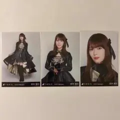 乃木坂46 岩本蓮加 スペシャル衣装48 生写真 コンプ