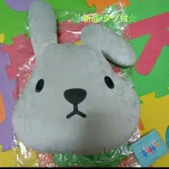 Item thumbnail for item 5bfd399b-f7af-4fa9-b75e-f35a60e87181