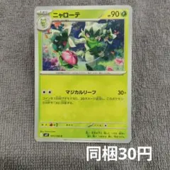 【在庫1】ニャローテまとめ買いのサムネイル