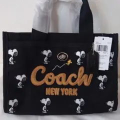 2026年最新】カーゴトート 26の人気アイテム - メルカリ