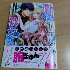 離縁を申し出たら溺愛されるようになりました!? ～将軍閣下は年下妻にご執心～ 1