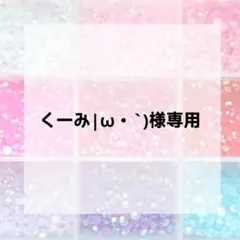 くーみ|ω・`)様専用ページ