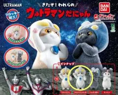 グル様 リクエスト 2点 まとめ商品