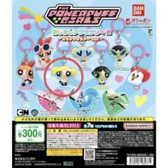 めじるしアクセサリー2 バブルスB