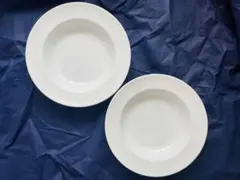 【新品・未使用品】 KANESUZU 日本製 リム皿 大皿 『10枚セット』 2025年最新】カネスズ 皿の人気アイテム - メルカリ