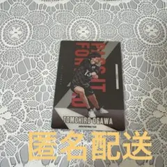 Item thumbnail for item 1d04a90d-cbad-42e2-800b-feb590761040