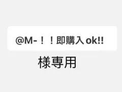 ESTIVO スキー　スノボー　用グローブ