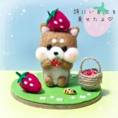 いちごいっぱい♡豆柴ちゃん　羊毛フェルト　ハンドメイド　豆柴　柴犬　いちご