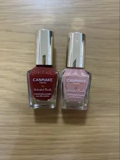 キャンメイク マニキュア カラフルネイルズ N02 N19