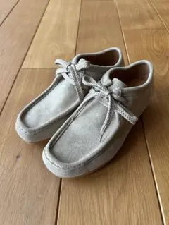 Item thumbnail for item 7d399145-c6cd-481b-a654-c9c0b73d580f