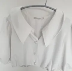 ems バルーンスリーブショート丈ブラウス