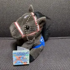 【JRA・非売品】「アイドルホース 第41回 ジャパンカップ コントレイル」