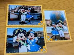 ディズニー スペシャルフォト　ディズニーシー　TDS 　ミッキー　ミニー