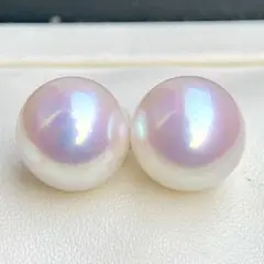 ms(プロフ必読）様　ご専用確認ページ