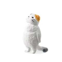 虚無 宙 そら - KYOMU - ✿︎ 3 . 三毛猫