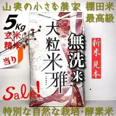 「発ガン性ナシ：農薬不使用」大粒米：自然な栽培／玄米５キロ 「精米し発送」のサムネイル
