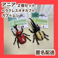 アニア　カブトムシ　ヘラクレスオオカブト　昆虫　フィギュア