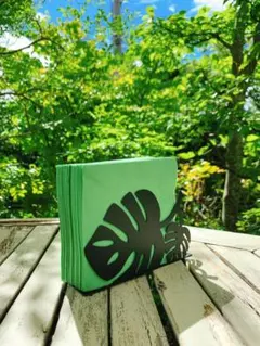 Item thumbnail for item 920d8e55-aff3-4f13-b110-d8c169c97a15