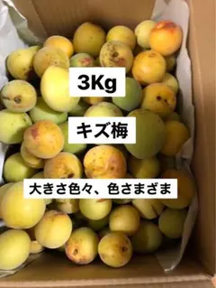 キズ梅 3kg 梅干し 梅酒用のサムネイル