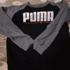PUMA 吸汗速乾 トレーナー 150