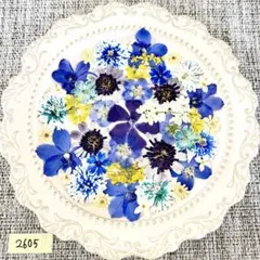 押し花 素材 ミックス アソート【2605】 押し花 素材 ミックス アソート【2605】 - メルカリ