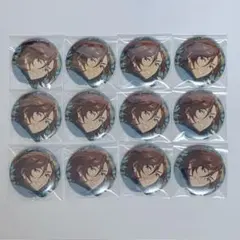 コレクション缶バッジ 三毛縞斑 12点セット