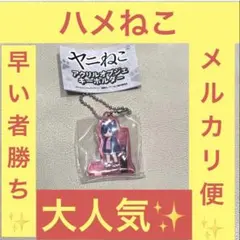 ヤニねこ ガチャガチャ ハメねこ アクリルキーホルダー アクキー