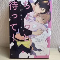 ミツキくんちょっと待って！ 漫画 BL