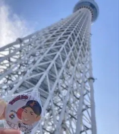 Item thumbnail for item 4d7a048e-fed2-4393-8ad8-b44b9cedb4f3