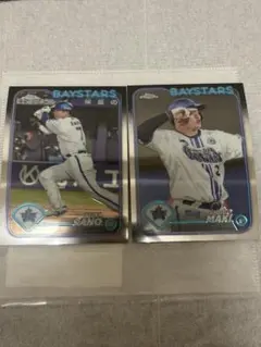 横浜DeNAベイスターズ 人気選手