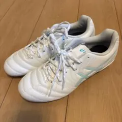 Item thumbnail for item 912a41e2-fa61-4a3f-8a8c-22524126c440